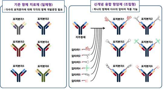 기존 항체치료제와 융합 항암제의 개발공정 비교